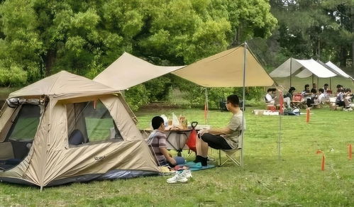 安徽悲劇，公園帳篷內(nèi)兩人離世
