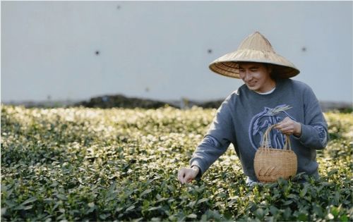 兩位抗癌網(wǎng)紅相繼離世，一次深情的對話與無盡的哀思