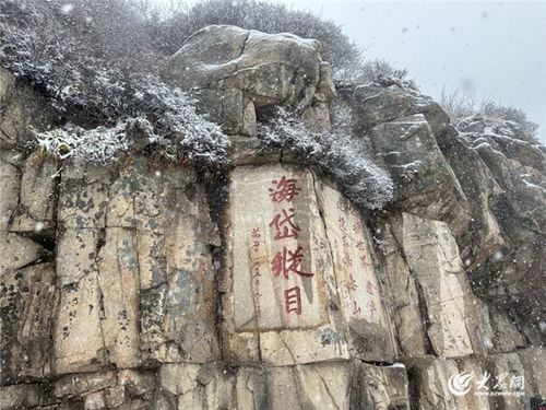 泰山雪深達20厘米，暴雪量級下的壯麗與挑戰(zhàn)
