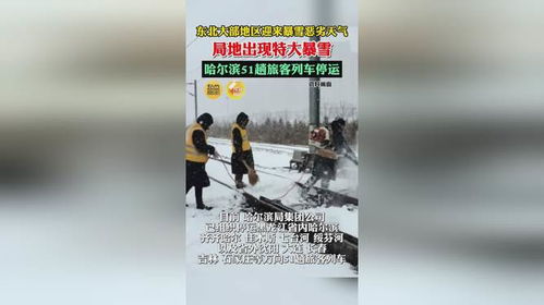 東北局地特大暴雪破紀錄，自然之威與應(yīng)對之道