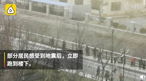 南京地鐵隧道驚現野豬，監(jiān)控曝光下的城市生態(tài)新奇聞