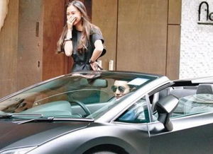 東契奇為1歲女兒送上豪車生日禮物，父愛如車，駛向幸福之路