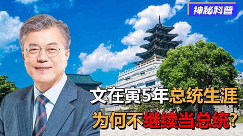尹錫悅的政治生涯，曙光前的短暫一天