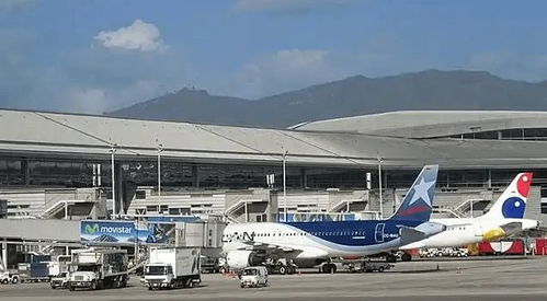 聯(lián)合國(guó)驚爆哥倫比亞一機(jī)庫發(fā)現(xiàn)2萬具尸體，真相與挑戰(zhàn)