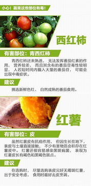 孕媽因食用發(fā)霉百草味面包引發(fā)宮縮入院，食品安全與健康的重要性