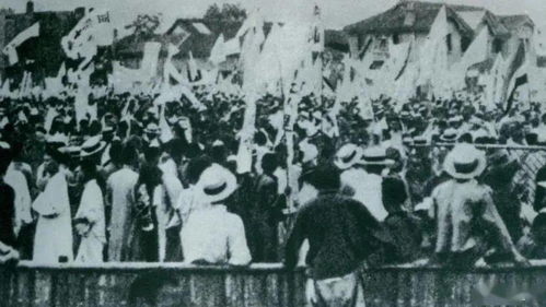女子遠(yuǎn)嫁日本后失聯(lián)，丈夫有家暴史的背后真相