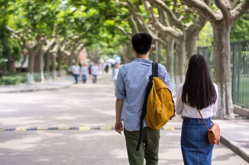 哈爾濱姑娘杭州出差的意外之旅