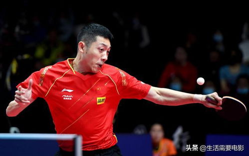 林詩棟3-2險勝許昕，一場精彩絕倫的體育對決
