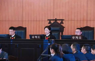 余華英上訴，自稱非主犯，案件背后的真相探尋