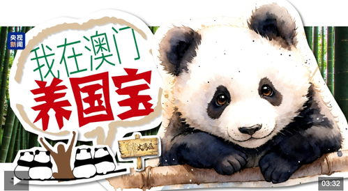 我在澳門養(yǎng)國寶