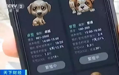 揭秘央視曝光，電子醫(yī)保卡村推騙局