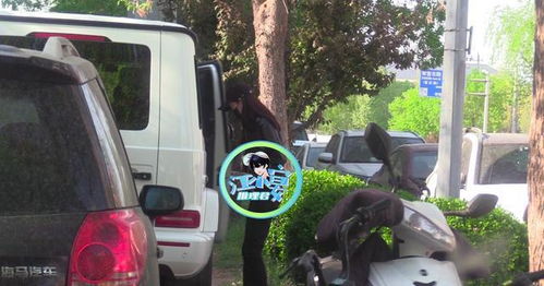 張小斐駕車之路，一次違章背后的六次警示