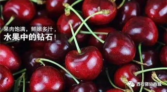 車?yán)遄拥恼T惑與挑戰(zhàn)，女子誤食過量車?yán)遄右l(fā)過敏反應(yīng)，腫成悲傷蛙