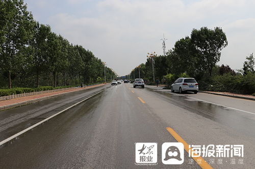 當(dāng)?shù)胤e極應(yīng)對(duì)，道路立桿上約掛10個(gè)攝像頭引發(fā)關(guān)注