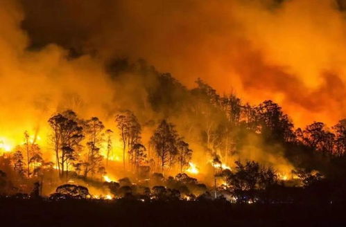 福建閩侯山火事件，警鐘長鳴，守護綠色家園