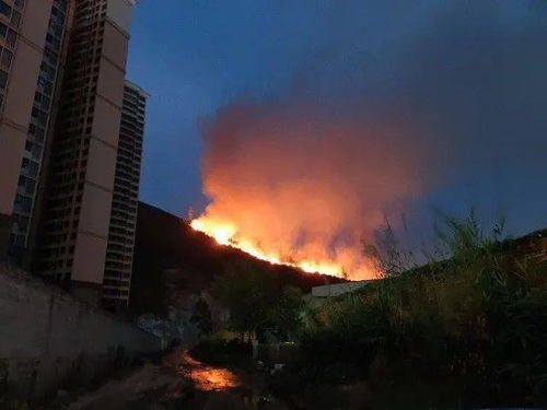 廣東肇慶山火救援行動，600人奮戰(zhàn)一線