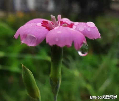 時隔七年再現(xiàn)增長，出生人口突破52萬背后的社會現(xiàn)象