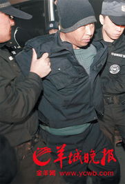 漂白連環(huán)殺人案原型，陰影下的真相