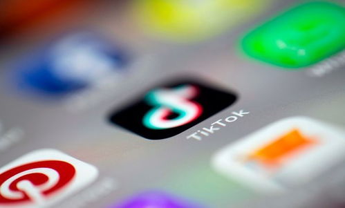 特朗普發(fā)帖呼吁挽救TikTok，社交媒體的未來與國(guó)家安全