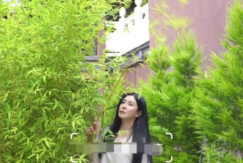 歲月靜好，王祖賢現(xiàn)身寺廟風(fēng)采依舊樸素