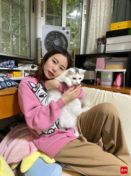 女子上門喂貓服務(wù)，一次收費(fèi)110元，一天服務(wù)20家