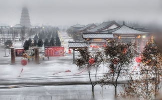 西安雪景——雪下東北氣勢(shì)的獨(dú)特魅力