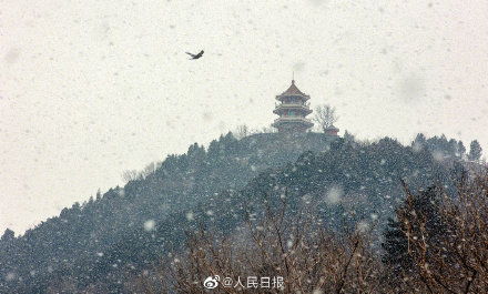 暴雪下的春運回家路，艱辛中的堅韌與溫情