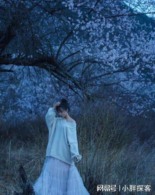 李子柒非遺中國年封面，傳統(tǒng)文化的現代詮釋