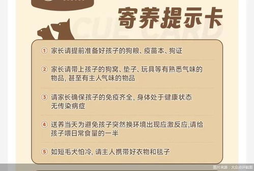 春節(jié)期間寵物酒店600元一天，火爆搶訂背后的故事