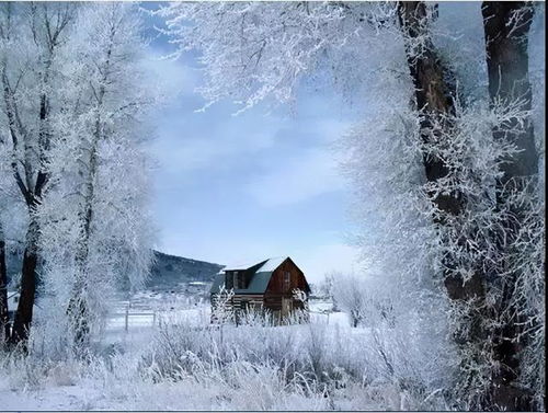 現(xiàn)實(shí)版鵝毛大雪，一場(chǎng)冬日的視覺(jué)盛宴