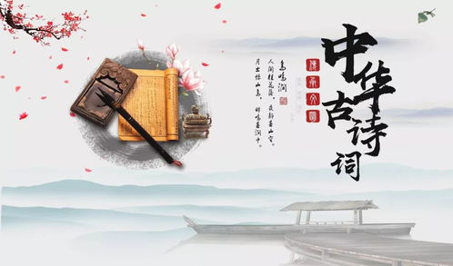 韓稱死子新規(guī)緣起，中方是否尊重韓國規(guī)則的深度探討