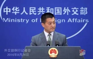 外交部證實，盧沙野履新——新職務(wù)下的責(zé)任與展望