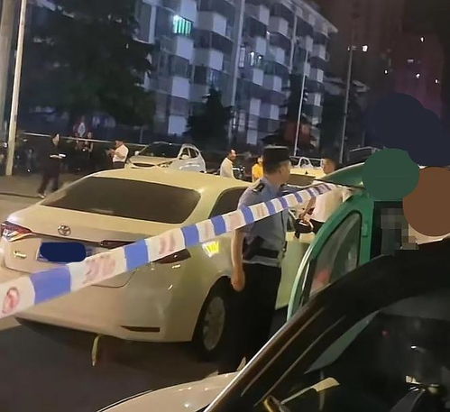 德國(guó)汽車撞人事件，28人受傷，社會(huì)震驚的悲劇