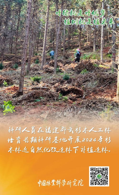 增綠就是增優(yōu)勢(shì) 植樹(shù)就是植未來(lái) 增綠就是增優(yōu)勢(shì) 植樹(shù)就是植未來(lái)