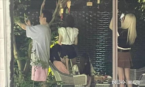 王思聰帶三美女吃日料被偶遇