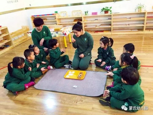 武漢一幼兒園上課70%時間在巡山