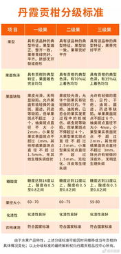 《苦盡柑來遇見你》評(píng)分上升至9.6