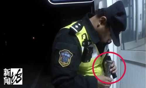 甲亢哥水靈靈地被深圳交警警告了