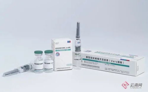 麻省理工研發(fā)新型避孕針 一針管數(shù)年