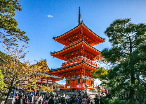 投資千萬買日本寺廟的中國人后悔了