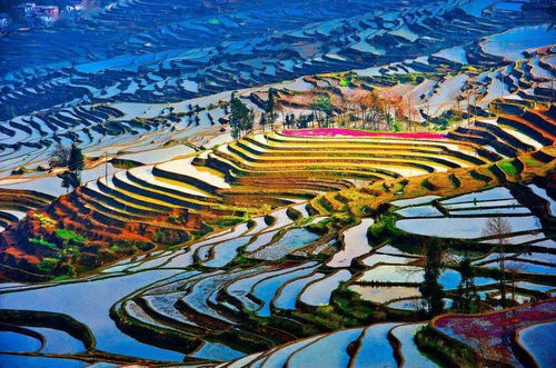 11部影片定檔2025五一檔