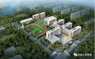 柳城縣2020年重大項(xiàng)目開工 柳城縣園藝設(shè)計(jì)效果圖大全 
