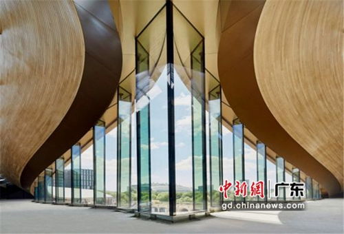 果殼設計效果圖片大全，探索未來設計的無限可能