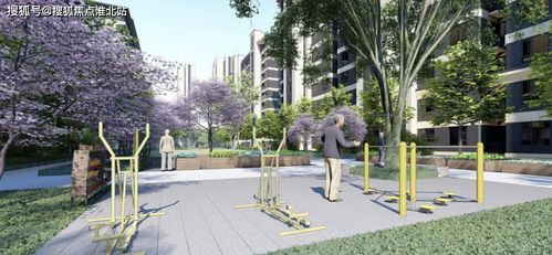 操場跑道圖設(shè)計(jì)效果圖——打造健康運(yùn)動的理想場所