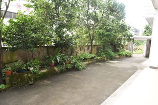 玉環(huán)市小庭院設(shè)計(jì)方案公示，打造美麗庭院，提升居民生活品質(zhì)