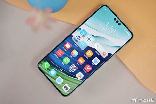 如何區(qū)分華為手機型號，一看便知