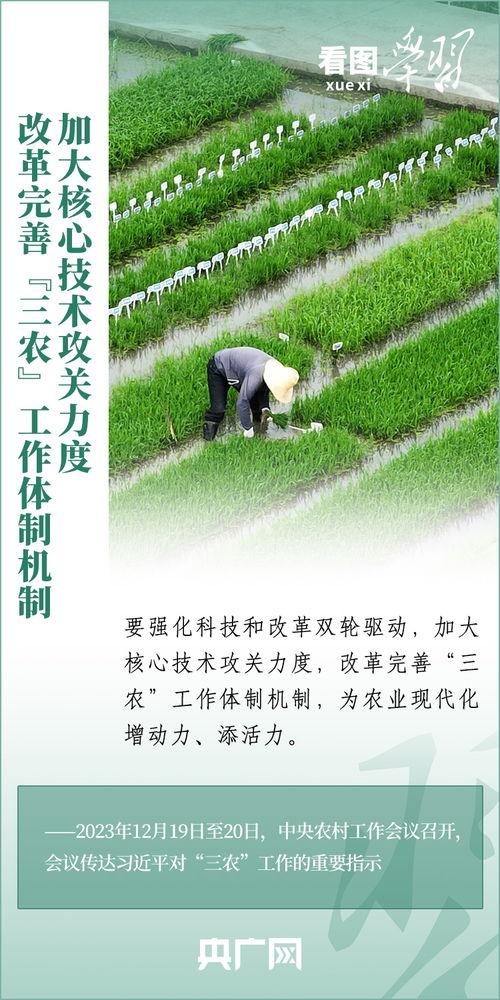 小米農(nóng)夫，傳統(tǒng)農(nóng)業(yè)與現(xiàn)代科技的完美結(jié)合 