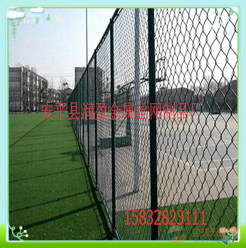 網(wǎng)格圍欄設(shè)計(jì)圖片的魅力與藝術(shù)