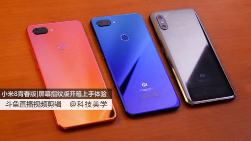 小米八指紋版，科技與美學的完美結合，小米八指紋版，科技與美學的巔峰融合