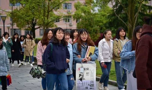 小米鑒別——探尋真實與優(yōu)質(zhì)的關(guān)鍵步驟